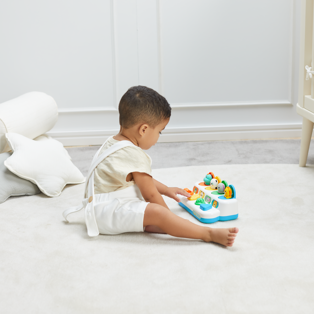 POP-UP BUBA ZOO